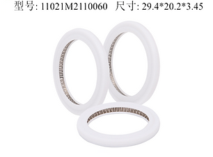 Anello di tenuta Raytools per finestre di protezione D24.9*T1.5